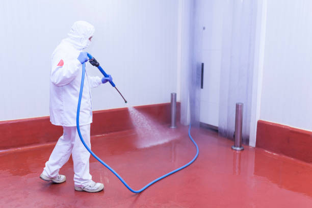 Best Paint Preparation  in Healdsburg, CA